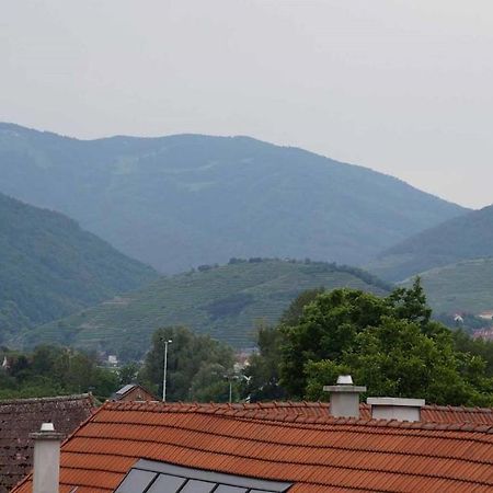 Weingut & Gaestezimmer Pammer Mitterarnsdorf Eksteriør billede