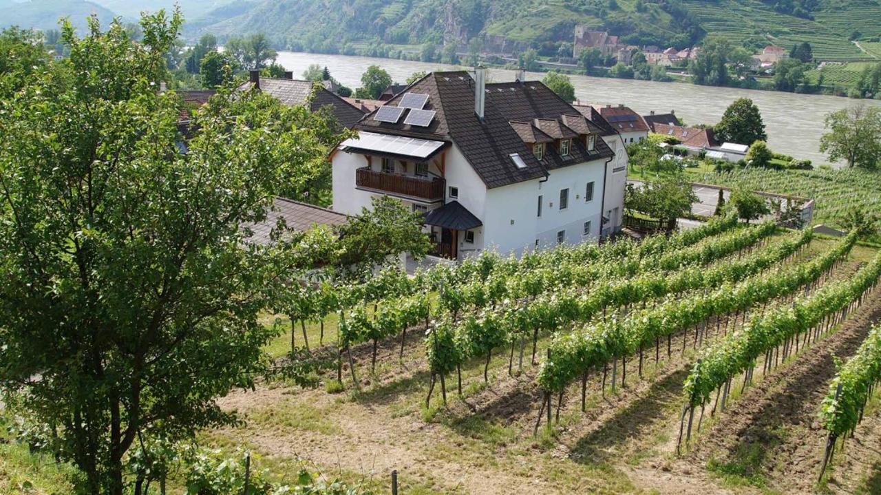 Weingut & Gaestezimmer Pammer Mitterarnsdorf Eksteriør billede