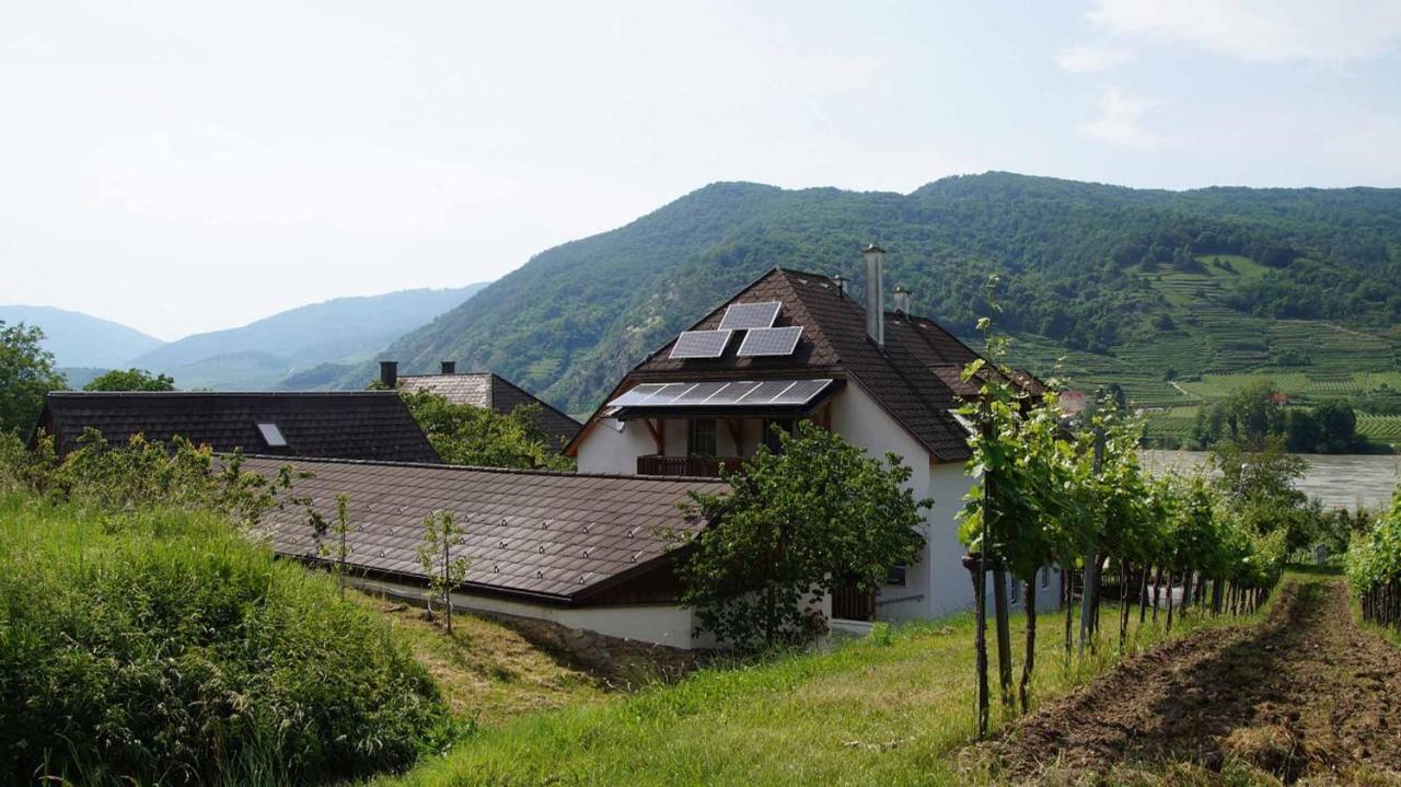 Weingut & Gaestezimmer Pammer Mitterarnsdorf Eksteriør billede