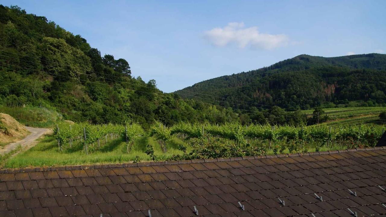 Weingut & Gaestezimmer Pammer Mitterarnsdorf Eksteriør billede