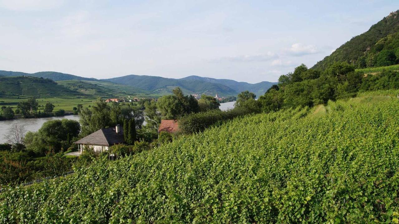Weingut & Gaestezimmer Pammer Mitterarnsdorf Eksteriør billede