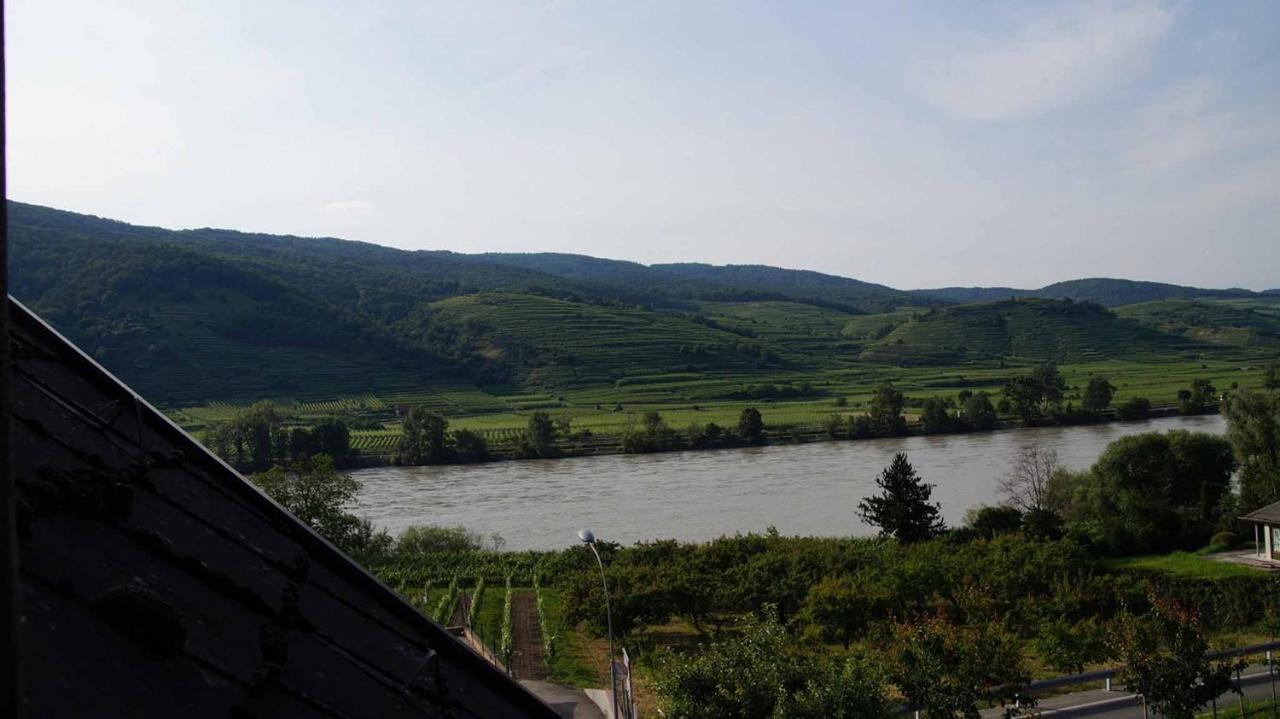 Weingut & Gaestezimmer Pammer Mitterarnsdorf Eksteriør billede